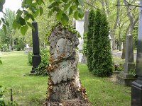 02-001 Csernátony Lajos, Alsócsernátoni